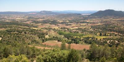 Invesrural-Ruta de interpretación paisajística el Sabinar de Alpuente-Landscape interpretation route of the Juniperus Forest of Alpuente-Ruta d'interpretació paisatgística del Savinar d'Alpuente