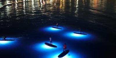 Siesta Advisor-Excursión nocturna en paddle surf-SUP sunset tour-Paddle surf tour nocturna