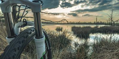 LA CAMBRA CASA RURAL-En ebike por el PN de la Marjal Oliva-Pego y duerme de lujo en Potries-By ebike through the Marjal Oliva-Pego National Park and sleep in luxury in Potries-En ebike pel PN de la Marjal Oliva-Pego i dorm de luxe a Potries