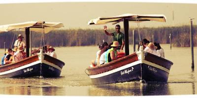 Visit Albufera-Paseo guiado con barca con puesta de sol en l'Albufera-Guided boat tour with sunset in l'Albufera-Passeig guiat amb barca amb posta de sol en l'Albufera