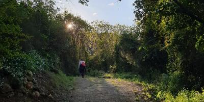 Rodar Món Viatges-La Selva de Estubeny y el Castillo de Montensa-Route through the jungle of Estubeny visit to the castle of Montesa-La selva d'Estubeny i el Castell de Montesa