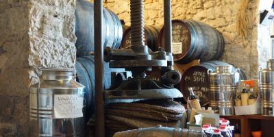 BODEGAS RIKO-El vino: del campo a la mesa-El vi: del camp a la taula