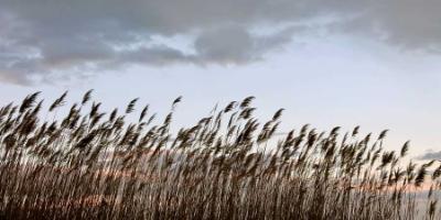 INTRODUCING CASTELLON-Moncofa, atardecer entre las dunas-Moncofa, sunset at the dunes-Moncofa, el vespre des de les dunes