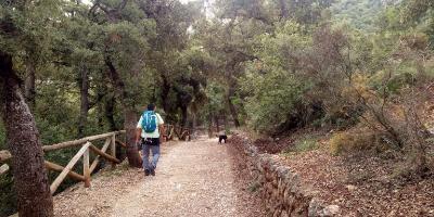 Tronkos y Barrancos-Fuentes y cavas de la Sierra de Mariola-Springs and ice caves in the Sierra de Mariola-Fonts i caves de la Serra de Mariola