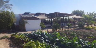 Descubre l'Horta s.l.u-Visita a la huerta y taller de paella-Visit to Valencian farmland and paella workshop-Visita a l'horta i taller de paella