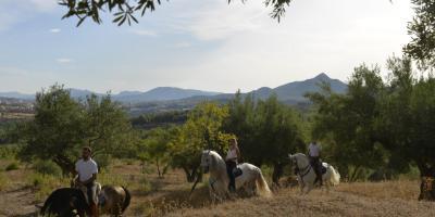 Masía La Mota-Paseos a caballo por el Parque Natural de la Font Roja-Horseback riding through Font Roja Natural Park-Passejos a cavall pel Parc Natural de la Font Roja