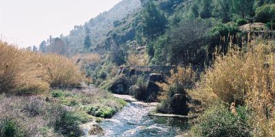 Love Xàtiva Tours