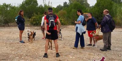 Centro Canino KOIRA-Senderismo con mi perro