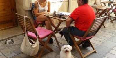 Centro Canino KOIRA-De Tapas con Mi Perro-Tapas with My dog-De Tapes amb el meu Gos