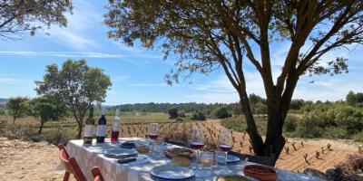 BODEGAS DEL VALLE-Almuerzo entre viñedos-Lunch between vineyards-Esmorzar entre vinyes