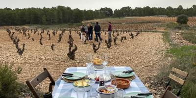 BODEGAS DEL VALLE-Almuerzo entre viñedos-Lunch between vineyards-Esmorzar entre vinyes