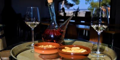 INTEGRA-T EXPERIENCE-Tour vinícola en Valencia-Valencia Wine Tour-Tour vinicola a València