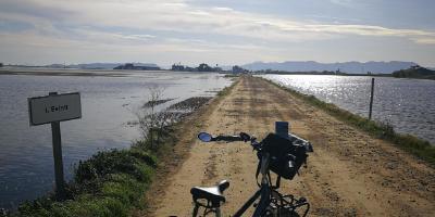 bikes4tours-Vive la Albufera en bici-Enjoy la Albufera of Valencia cycling-Viu la Albufera en bici