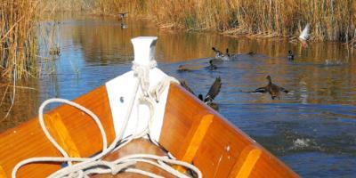 bikes4tours-Vive la Albufera en bici-Enjoy la Albufera of Valencia cycling-Viu la Albufera en bici