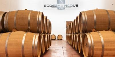 BODEGAS NODUS-De la viña a la copa-From the vineyard to the glass-De la vinya a la copa