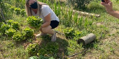 Endèmica Natura-Agroturismo en el Riurau de la Seniola-Agrotourism in the Seniola's Riurau-Agroturisme al Riurau de la Seniola