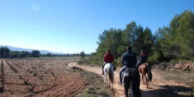 Field and Horse-Aventura ecuestre con sabor-EQUESTRIAN ADVENTURE WITH FLAVOR-AVENTURA EQÜESTRE AMB SABOR