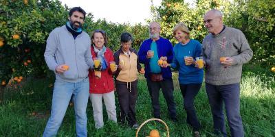 Masquenaranjas-Másquenaranjas: Más que una experiencia de agroturismo-More than oranges: More than an agritourism experience-Mésquetaronges: Més que una experiència d'agroturisme