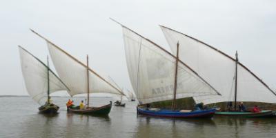 ALBUFERA NATURE TOURS-Tour Albufera-Puesta de Sol -Vela Latina-Tour Albufera- Sunset - Latin sail-Tour Albufera-Posta de Sol - Vela Llatina