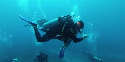 BUCEO PUERTO JAVEA