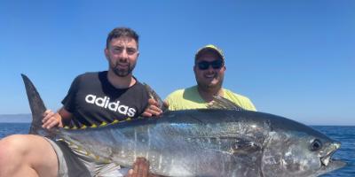 AYL TOP CHARTER-Excursión de pesca en barco desde Alcossebre-Fishing trips Alcossebre-Excursió de pesca en vaixell des d' Alcossebre