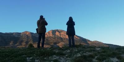 Numenius. Nature in context-Observación de aves en espacios naturales de la Comunidad Valenciana-Bird watching in Valencia region natural parks-Observació d'aus en els espais naturals de la Comunitat Valenciana