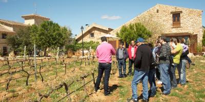 ESMEDITERRÁNEO-Visita con cata de vinos, aperitivo y comida campera en Castellón-Visit with wine tasting, appetizer and country-style lunch in Castellon-Visita amb cata de vins, aperitiu i dinar al camp a Castelló