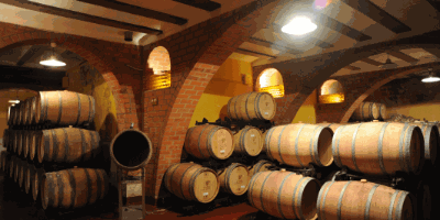 ESMEDITERRÁNEO-Visita y degustación de vinos con aperitivo-Visit and wine tasting with appetizers.-Visita i tast de vins amb aperitiu
