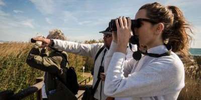 Valencia Birding-Excursiones guiadas de birdwatching-Guided birdwatching trips-Excursions guiades d'observació d'aus