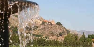 Cesilia wines & brunch
