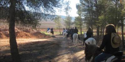 Field and Horse-Primera experiencia a caballo. ¡Inolvidable!-First-time horse-riding experience. Unforgettable!-Primera experiència a cavall. Inoblidable!