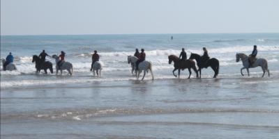 Field and Horse-Cabalgar por la playa y gastronomía valenciana-Ride along the beach and enjoy Valencian cuisine-Cavalcar per la platja i gastronomia valenciana