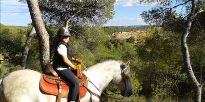 Field and Horse-El Bosque de la Vallesa a caballo-The forest of la Vallesa on horseback-El Bosc de la Vallesa a cavall