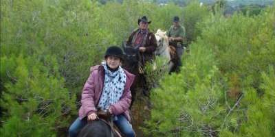 Field and Horse-El Bosque de la Vallesa a caballo-The forest of la Vallesa on horseback-El Bosc de la Vallesa a cavall