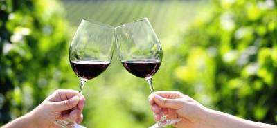 Cofrentes Turismo Activo-Enoturismo activo-Active wine tourism-Enoturisme actiu