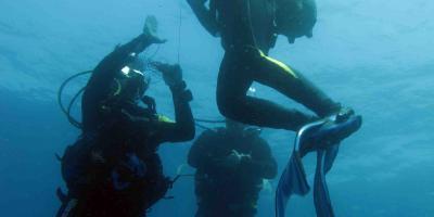 Diving Stones