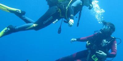 Diving Stones