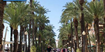 Quality Tours Mariola-Alicante: un paseo de tres horas-Alicante: a 3h private walking tour-Alacant: un passeig de tres hores