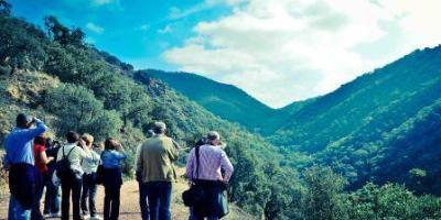 Itinerantur-Almedíjar: la sorpresa gastronómica de la Sierra de Espadán-Almedíjar: surprising gastronomy in Sierra de Espadán mountain range-Almedíjar: la sorpresa gastronòmica de l'Alt Palància