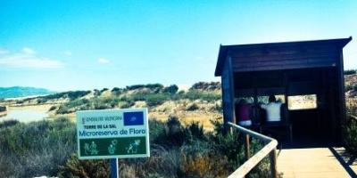 Itinerantur-Las lagunas del Prat de Cabanes-Torreblanca-Lagoons at the Prat de Cabanes-Torreblanca natural park-Les llacunes del Prat de Cabanes-Torreblanca