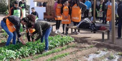 Descubre l'Horta s.l.u