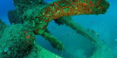 Costa Palancia-Buceo en barcos hundidos en Sagunto-Wreck diving in Sagunto-Busseig en vaixells enfonsats a Sagunt