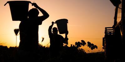 Explora Maestrat-Sorbos de historia en Vinaròs-Sips of history in Vinaròs-Glops d'història a Vinaròs