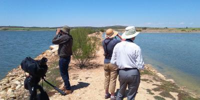 Birdwatching Spain