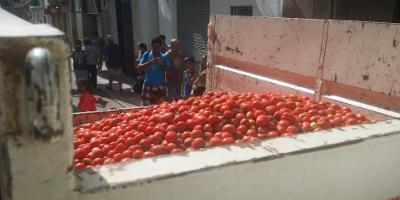 Actio Activitats-Tomatina familiar-Familiar Tomatina-Tomatina familiar