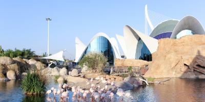 OCEANOGRÀFIC VALENCIA-Oceanogràfic València-Oceanogràfic València-Oceanogràfic València