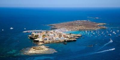 Centro de buceo SCUBA ELX-Snorkel en Isla de Tabarca: 1ª Reserva Marina de España-Snorkelling trip in Tabarca Island: 1st Marine Reserve in Spain-Snorkel en Illa de Tabarca: 1ª Reserva Marina de España