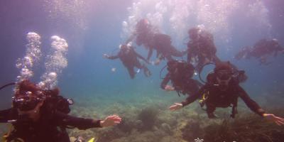 Mardays-Bautismo de buceo - try dive-Discover scuba diving - try dive-Baptisme de busseig - try dive