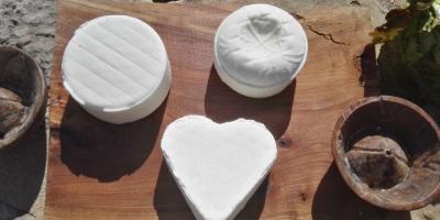 Formatgeria Artesana La Planeta-Taller de queso-Cheese workshop-Taller de formatge