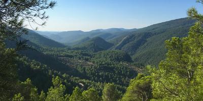 AMIGOS DEL PAISAJE-Senderismo en la Reserva de la Biosfera del Alto Turia-Hiking in the Alto Turia Biosphere Reserve-Senderisme en la Reserva de la Biosfera de l'Alt Túria